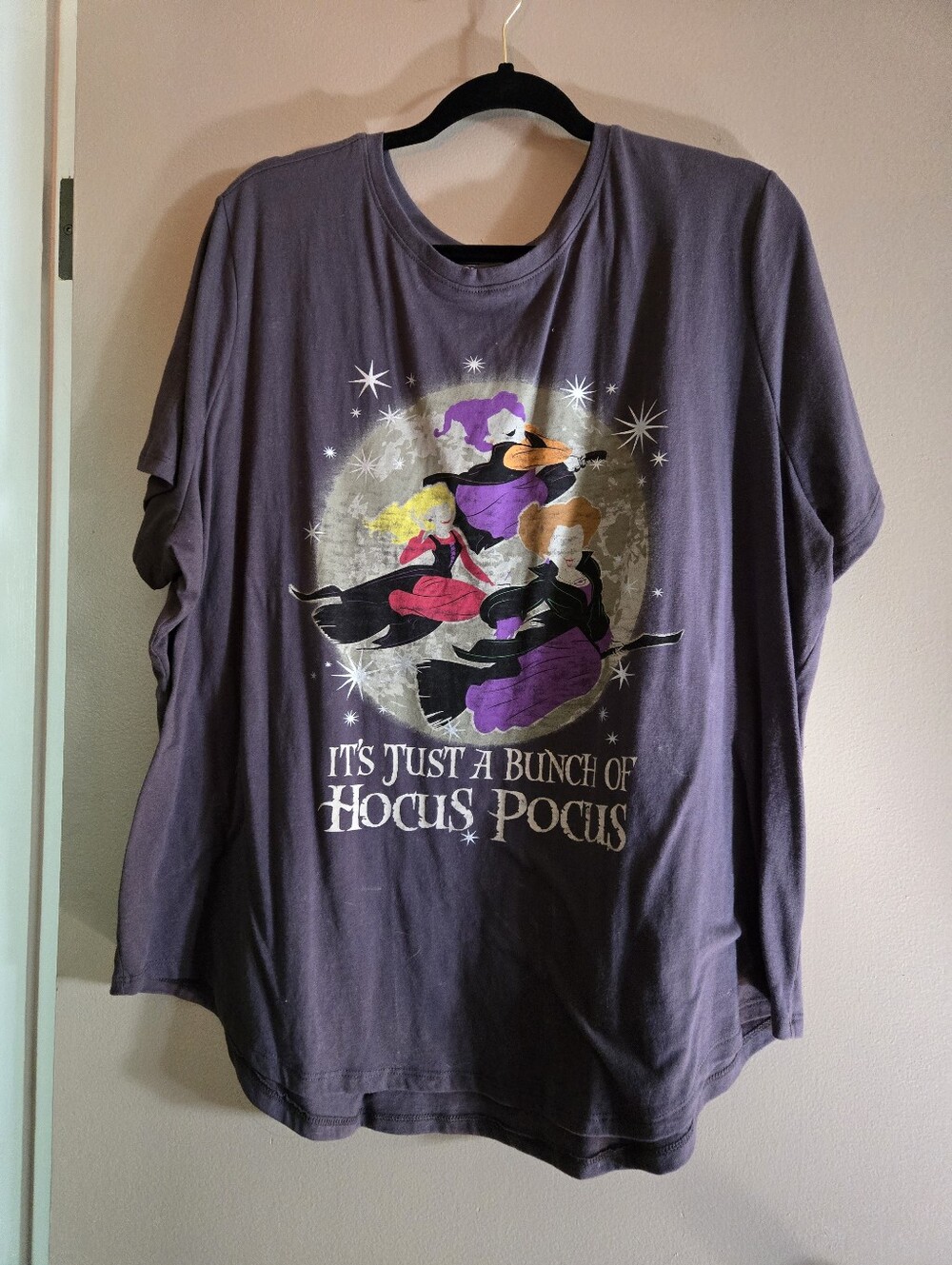 Hocus Pocus Womans Purple Graphic T-Shirt 2X